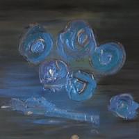 Fleurs de nuit Fleurs de nuit