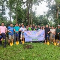 Tree - Planting Activities Tree - Planting Activities