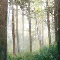 The Soft Forest The Soft Forest