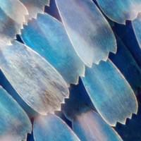 Research field Research field