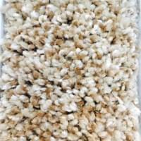 Comet Dust (109) Comet Dust (109)