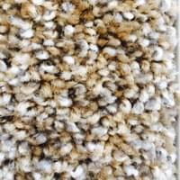 Sweet Caroline (115) Sweet Caroline (115)