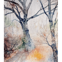 Whispers Between Trees Whispers Between Trees