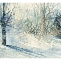 Morning Bluster Morning Bluster