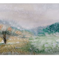 January Rain January Rain