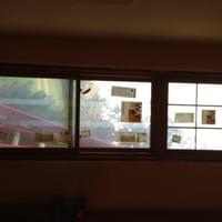 Schlichting Greg -Eagle Windows 1164 Sunrise Alcove Woodbury 10-29-13 (2).jpg Schlichting Greg -Eagle Windows 1164 Sunrise Alcove Woodbury 10-29-13 (2).jpg