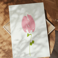 TULIP - ARABIC CALLIGRAPHY TULIP - ARABIC CALLIGRAPHY