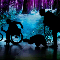 The Race  - Hare & Tortoise The Race  - Hare & Tortoise