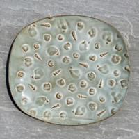 Embossed seashell plate Embossed seashell plate