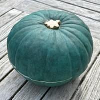 Pumpkin 2 Pumpkin 2