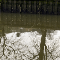 Reflections Reflections