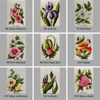 Original Watercolor Cards Original Watercolor Cards
