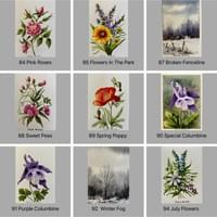 Original Watercolor Cards Original Watercolor Cards