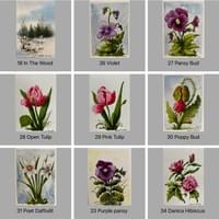 Original Watercolor Cards Original Watercolor Cards