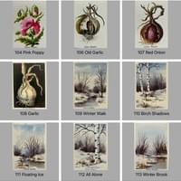 Original Watercolor Cards Original Watercolor Cards