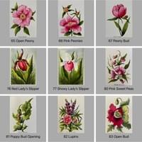 Original Watercolor Cards Original Watercolor Cards