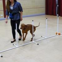 Agility Wymondham Agility Wymondham