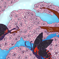 ML Print #11 | Cherry Blossom ML Print #11 | Cherry Blossom