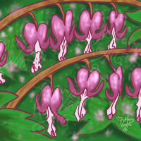 ML Print #13 | Bleeding Hearts ML Print #13 | Bleeding Hearts