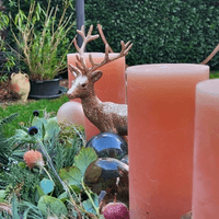 Adventsgesteck länglich in Pfirsischfarben Adventsgesteck länglich in Pfirsischfarben