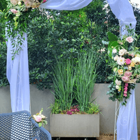 Traubogen Dekoration Traubogen Dekoration