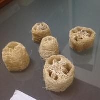 絲瓜絡手工皂 絲瓜絡手工皂