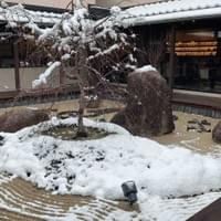 2月に雪が積もりました!