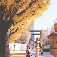 東京旅拍 / 東京街拍 / 東京攝影師 / Tokyo Photographer