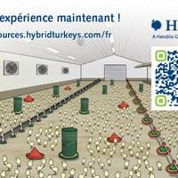 Carte publicitaire avec QR code personnalisé Carte publicitaire avec QR code personnalisé