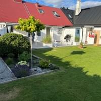 Nyanlagd gräsmatta 2021