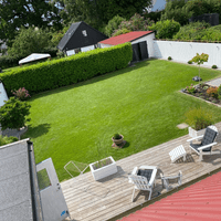 Tomten sett från takfönster, tomtstorlek ca 300 kvm