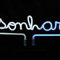 “Sonhar não custa nada e meu sonho é tão real, mergulhei nessa magia, era tudo que eu queria para este carnaval” Diz o samba, sonhar nos dá ar, nos dá fôlego para continuar. Em uma sociedade que pede tanta resiliência, sonhar não é luxo, é um ato de subversão. As cores branco e azul trazem calma e tranquilidade.