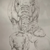 Momma and her baby elephants Momma and her baby elephants