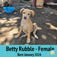 Betty Rubble Betty Rubble