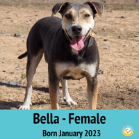 Bella Bella