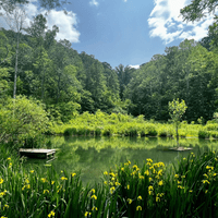 The Lake in Springtime The Lake in Springtime