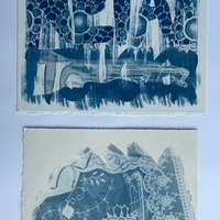 Cyanotype print Cyanotype print