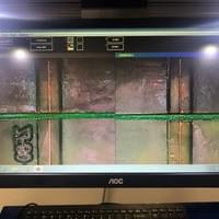 Section image