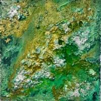 The drowned swamp The drowned swamp