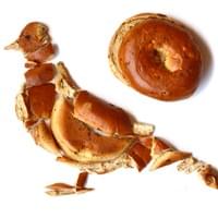 Bagel Pigeon Bagel Pigeon