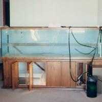 First aquarium 1982 First aquarium 1982
