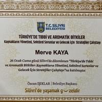 Aromatic Plants—Istanbul Aromatic Plants—Istanbul