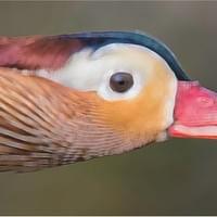 HOLIDAY PARTY #3 HOLIDAY PARTY #3