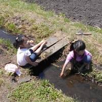 どろんこで川あそび どろんこで川あそび