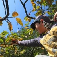 秋の収穫 秋の収穫