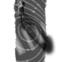 Attack into the black Attack into the black