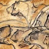 Grotte Chauvet Pont d'Arc  Grotte Chauvet Pont d'Arc