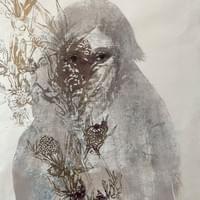 Kuiskaava puu VII, puupiirros 2024 Kuiskaava puu VII, puupiirros 2024