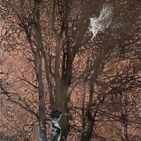 Muistamisesta I, 150x100, puupiirros ja kaiverrus vanerille 2023 Muistamisesta I, 150x100, puupiirros ja kaiverrus vanerille 2023