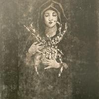 Rakkaus(hämähäkkimadonna), puupiirros 2021 420€ Rakkaus(hämähäkkimadonna), puupiirros 2021 420€